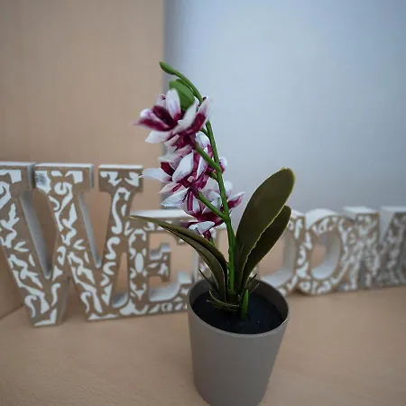Edelweiss Apartment -Gara Braşov Extérieur photo
